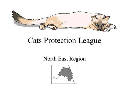 Cats Protection League North East Region. Help Prevent Cruelty to Cats Find out about our charity Locations of our Catteries Locations of our Shelters.