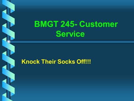 BMGT 245- Customer Service Knock Their Socks Off!!!