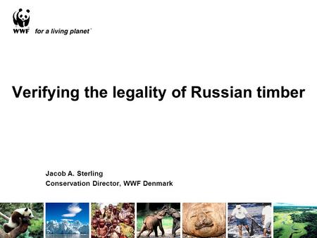 Verifying the legality of Russian timber Jacob A. Sterling Conservation Director, WWF Denmark.