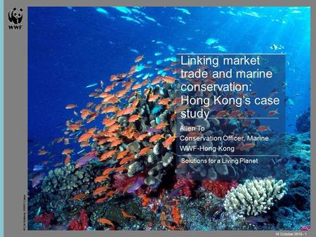 © Cat Holloway / WWF-Canon 16 October 2015 - 1 Solutions for a Living Planet Linking market trade and marine conservation: Hong Kong’s case study Allen.