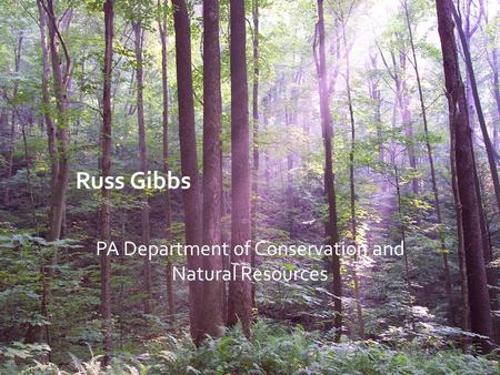 Russ Gibbs PA Department of Conservation and Natural Resources.