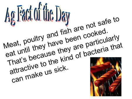 Ag Fact of the Day Meat, poultry and fish are not safe to eat until they have been cooked. That’s because they are particularly attractive to the kind.