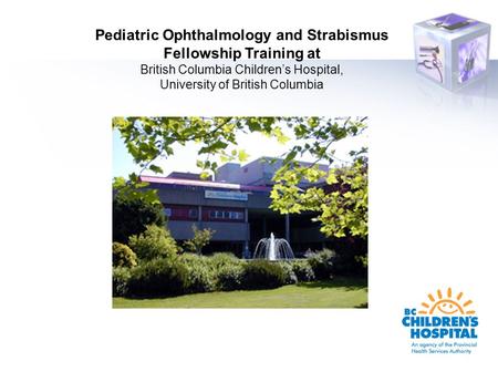 Pediatric Ophthalmology and Strabismus Fellowship Training at