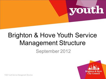 Brighton & Hove Youth Service Management Structure