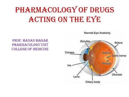 Pharmacology of drugs acting on the eye