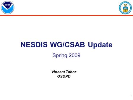 1 NESDIS WG/CSAB Update Spring 2009 Vincent Tabor OSDPD.