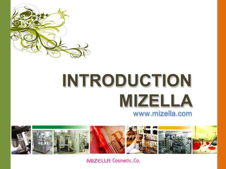 INTRODUCTION MIZELLA www.mizella.com. CONTENTS  MIZELLA Co.  MIZELLA  HISTORY  ASSETS  SWOT ANALYZE  RESEARCH & DEVELOPMENT  MERRY-M  PROSYS 