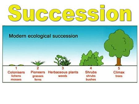 Jimmy Carter 1976-1980 Ronald Reagan 1980-1988 George Bush Sr. 1988-1992 Bill Clinton 1992-2000 Barack Obama 2008-2016 What does “succession” mean?