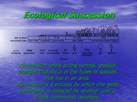 Ecological Succession