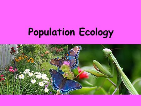 Population Ecology.