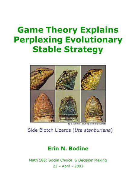 Game Theory Explains Perplexing Evolutionary Stable Strategy Erin N. Bodine Math 188: Social Choice & Decision Making 22 – April - 2003 Side Blotch Lizards.