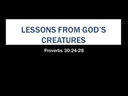 Proverbs 30:24-28. Jesus Used These To Teach  Birds. Matthew 6:26  Sheep. Luke 15:3-7; Matthew 7:15  Sheep, Doves, Wolves & Snakes. Matthew 10:16;