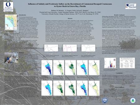 Influence of Salinity and Freshwater Inflow on the Recruitment of Commensal Decapod Crustaceans to Oyster Reefs in Estero Bay, Florida Bethany M. Bachelor.