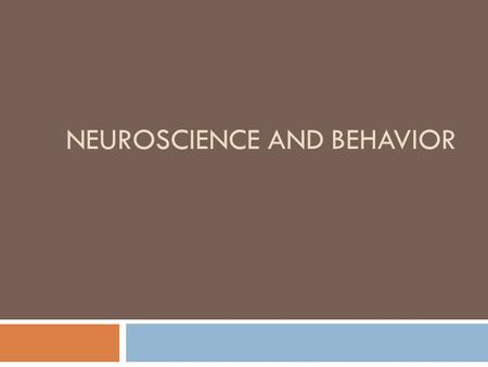 NEUROSCIENCE AND BEHAVIOR. History of Mind 2 In 1800, Franz Gall suggested that bumps of the skull represented mental abilities. His theory, though incorrect,