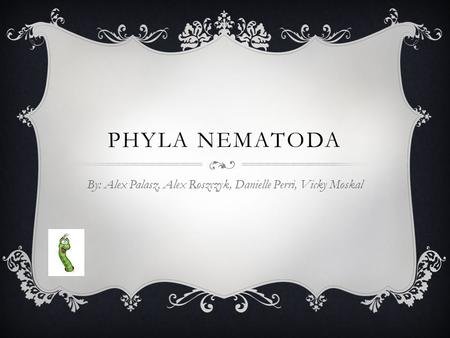 PHYLA NEMATODA By: Alex Palasz, Alex Roszczyk, Danielle Perri, Vicky Moskal.