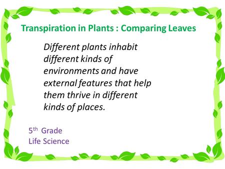 Transpiration in Plants : Comparing Leaves Different plants inhabit different kinds of environments and have external features that help them thrive in.