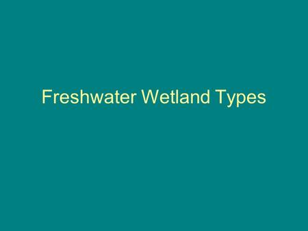 Freshwater Wetland Types. Shallow Open Water Hydrology Generally have water depths of less than 6.6 feet (2 meters) Ponds, river oxbows, shallow bay.