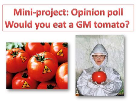 The aim of the report is to find out the popularity of GM tomatoes among my classmates. GMO products become increasingly popular among buyers and sellers,