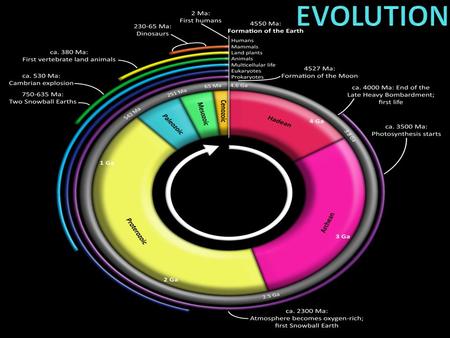 Movement of our Continents 1.) CLIMATE 2.) Species can move-Adaptation 3.) Natural Disasters-Mass Extinction Leads to the theory of evolution!