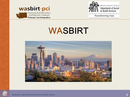 1 Washington State Department of Social & Health Services WASBIRT.