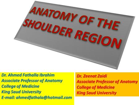 ANATOMY OF THE SHOULDER REGION