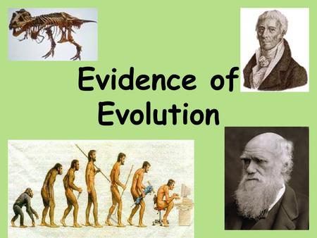 Evidence of Evolution. 1.Fossil Record 2.Homologous Body structures 3.Similarities in Embryology 4.Biochemical Evidence.