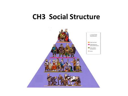 CH3 Social Structure.