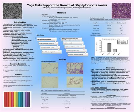 Yoga Mats Support the Growth of Staphylococcus aureus Tiffany King, Department of Biological Science, York College of Pennsylvania Introduction  Staphylococcus.