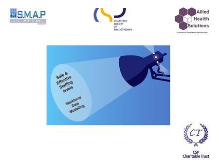 Workforce Data Modelling (WDM) Tool to support members to engage with workforce planning Completion date: July 31 st 2015 Safe and Effective Staffing.