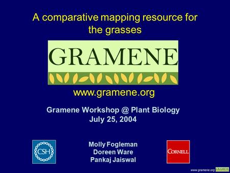 A comparative mapping resource for the grasses Gramene Plant Biology July 25, 2004 Molly Fogleman Doreen Ware Pankaj Jaiswal.