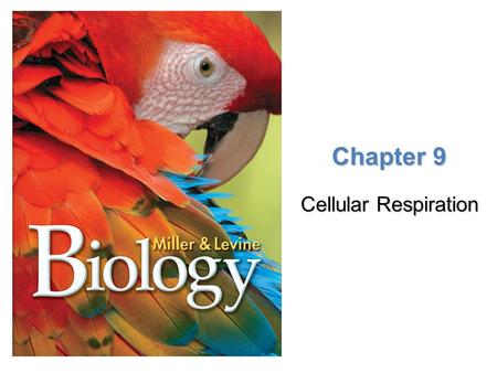 Chapter 9 Cellular Respiration.