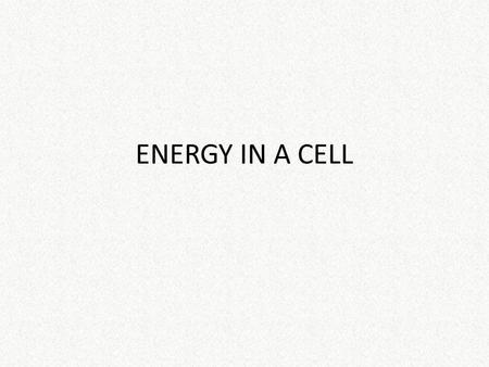 ENERGY IN A CELL. AUTOTROPHS – USE ENERGY TO MAKE THEIR OWN FOOD – EXAMPLES INCLUDE… PLANTS, GREEN ALGAE, AND SOME BACTERIA AUTOTROPHS – USE ENERGY TO.