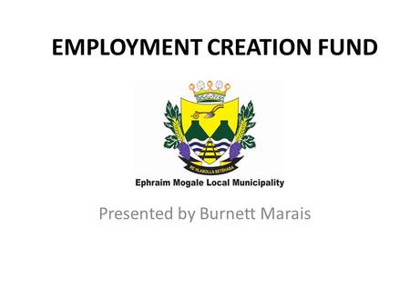 EMPLOYMENT CREATION FUND Presented by Burnett Marais.