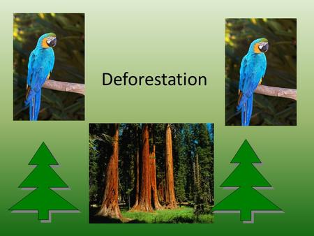 Deforestation. People are cutting down to many trees. People and animals are losing there homes. They are cutting down trees to make more land for homes.