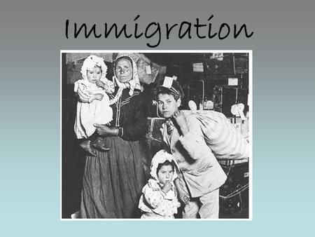 Immigration. Great Lull Seven Years’ War in Europe (1756) American Revolution French Revolution Napoleonic Wars (1803-1815) Great Britain prohibits slavery.