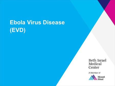 Ebola Virus Disease (EVD). Marburg and Ebola Virus Hemorrhagic Fevers Filovirus RNA virus Threadlike, filamentous morphology Viral epidemics from Africa.