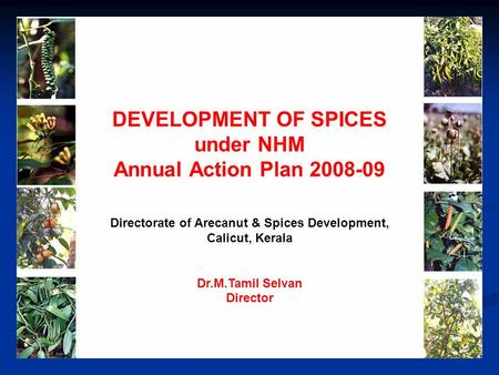 DEVELOPMENT OF SPICES under NHM Annual Action Plan 2008-09 Directorate of Arecanut & Spices Development, Calicut, Kerala Dr.M.Tamil Selvan Director.