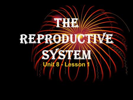 The Reproductive System