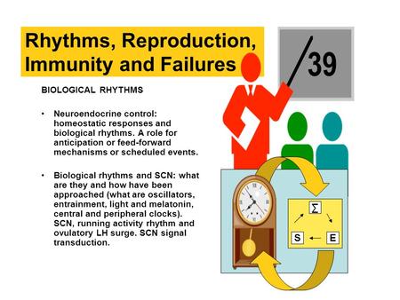 BIOLOGICAL RHYTHMS Neuroendocrine control: homeostatic responses and biological rhythms. A role for anticipation or feed-forward mechanisms or scheduled.