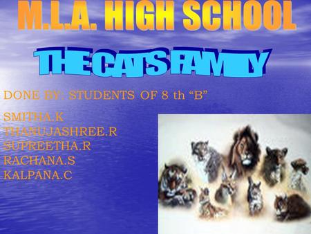 DONE BY: STUDENTS OF 8 th “B” SMITHA.K THANUJASHREE.R SUPREETHA.R RACHANA.S KALPANA.C.