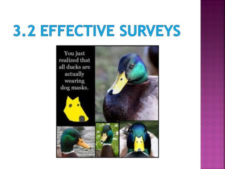 1. State the purpose of the survey. 2. Provide instructions for answering the survey. 3. Keep the questions short and clear. 4. Ask questions that are.