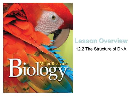 Lesson Overview 12.2 The Structure of DNA. The Components of DNA What are the chemical components of DNA? DNA is a nucleic acid made up of nucleotides.