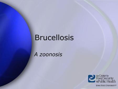 Brucellosis A zoonosis. Center for Food Security and Public Health Iowa State University - 2004 Brucella spp. Gram negative, coccobacilli bacteria Facultative,