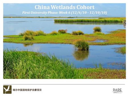 China Wetlands Cohort First University Phase: Week 6 (12/6/10 – 12/10/10)