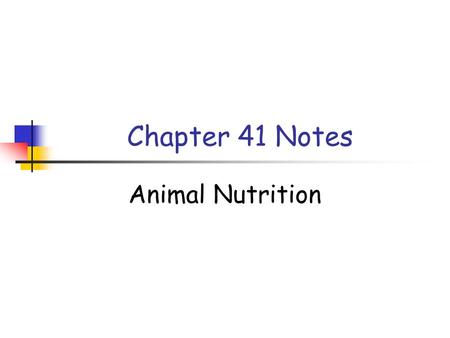 Chapter 41 Notes Animal Nutrition. Nutritional Requirements The flow of energy into and out of an animal can be viewed as a “budget” - most of the energy.