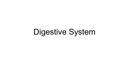 Digestive System.