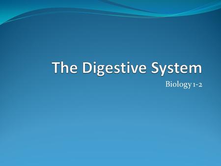 Biology 1-2. Mouth and Pharynx Digestion begins in the mouth. Teeth tear and shred food. Salivary glands secrete saliva, a mix of amylase (breaks down.