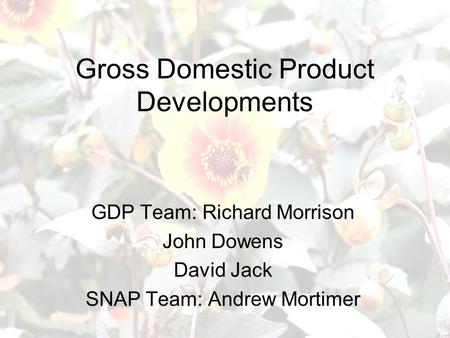 Gross Domestic Product Developments GDP Team: Richard Morrison John Dowens David Jack SNAP Team: Andrew Mortimer.