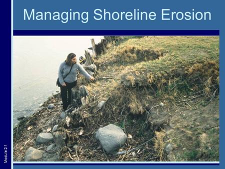 Managing Shoreline Erosion Module 2:1. Erosion: A Natural Process  Proceeds very slowly  Important part of ecosystem function Courtesy of: Ed Klekowski.