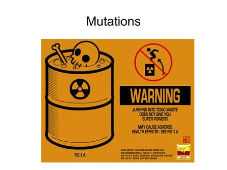 Mutations. Learning Objectives By the end of this class you should understand: The pedigree of a spontaneous mutation The concept of mutation rates and.